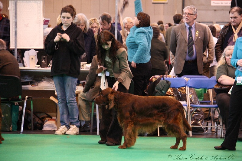 Crufts2011 687.jpg